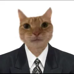 An orange cat's face on a man in a suit